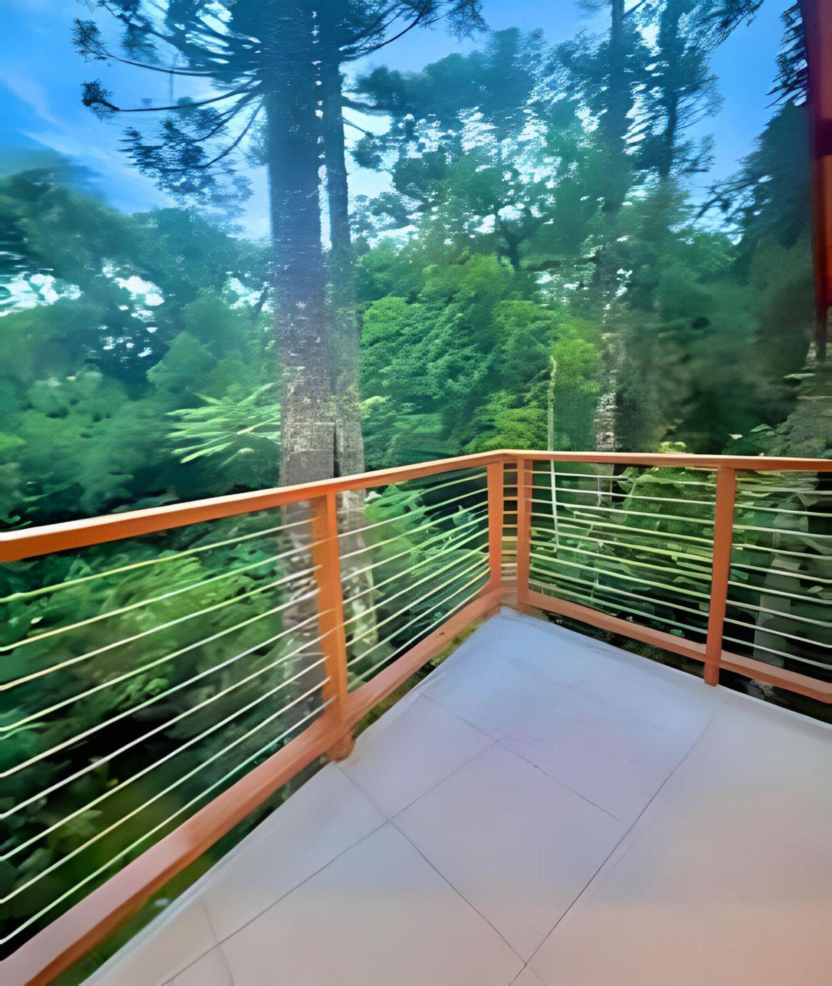 Campos do Jordão Cabana Suspensa Na Natureza - Regiao Turistica מראה חיצוני תמונה