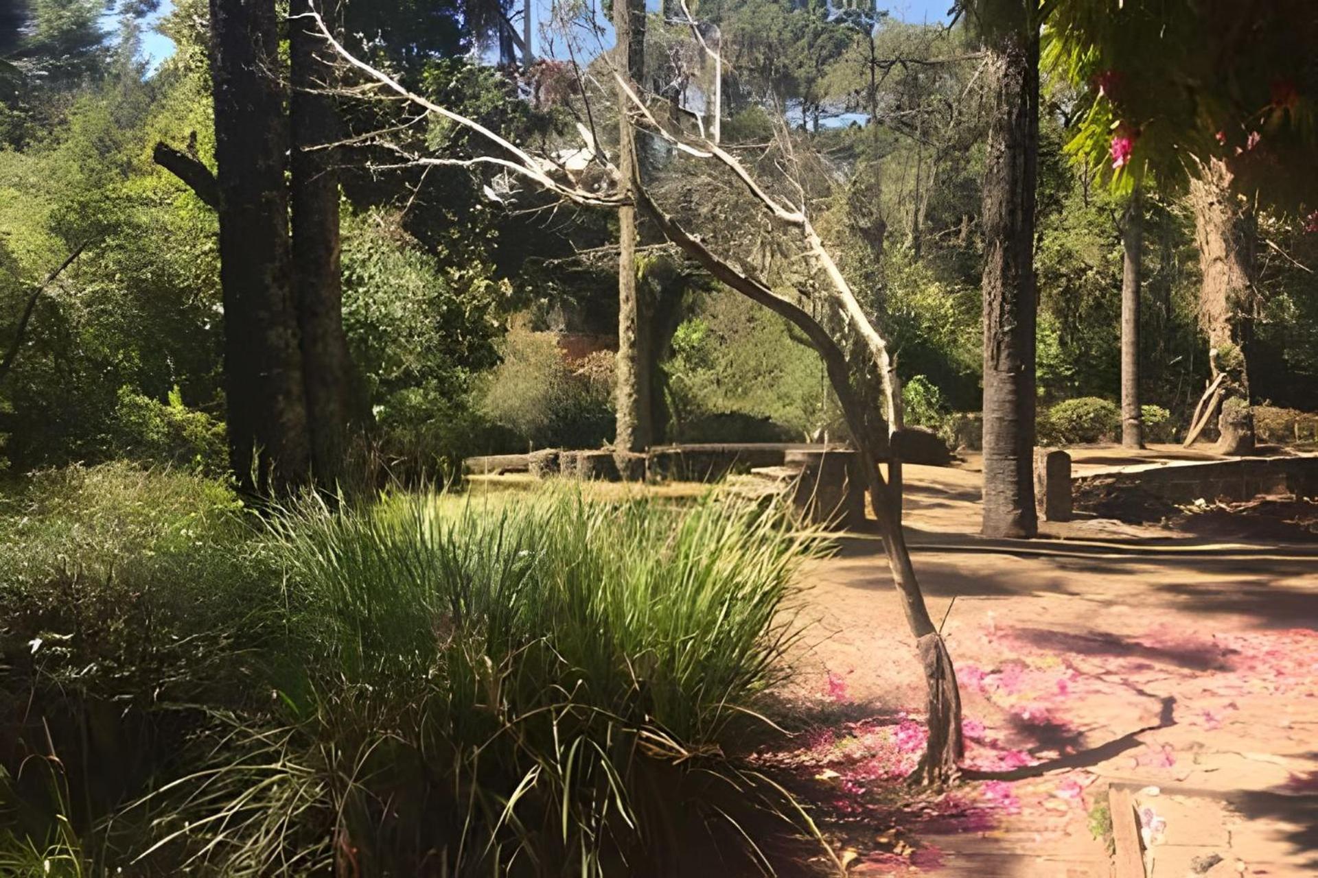 Campos do Jordão Cabana Suspensa Na Natureza - Regiao Turistica מראה חיצוני תמונה